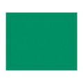 Jogo americano retangular linho visco verde 46x35cm - Lolahome