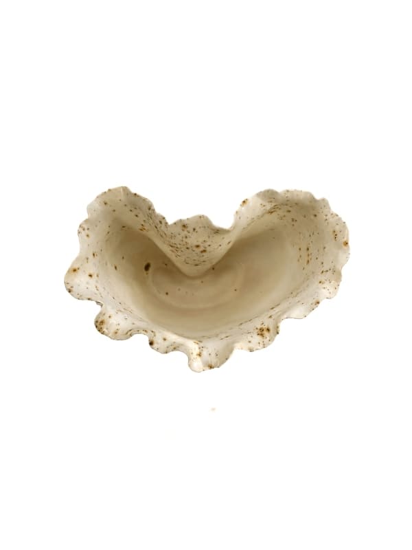 VASO CERÂMICA MARESIA 20CM
