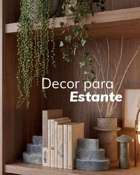 decore sua estante com design original e unico